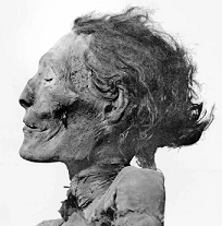 Unknown Man C | Mummipedia Wiki | Fandom