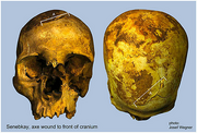 Senebkayskull
