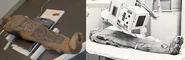 2016 x-ray vs 1980 x-ray.