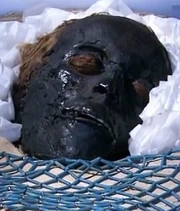 The face of the Mummy