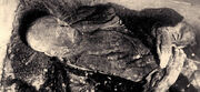 13700422343 044db6879e b.jpg