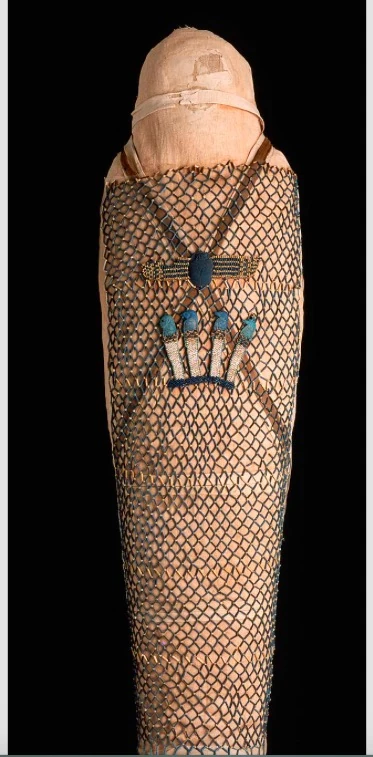 Nesmutaatneru | Mummipedia Wiki | Fandom
