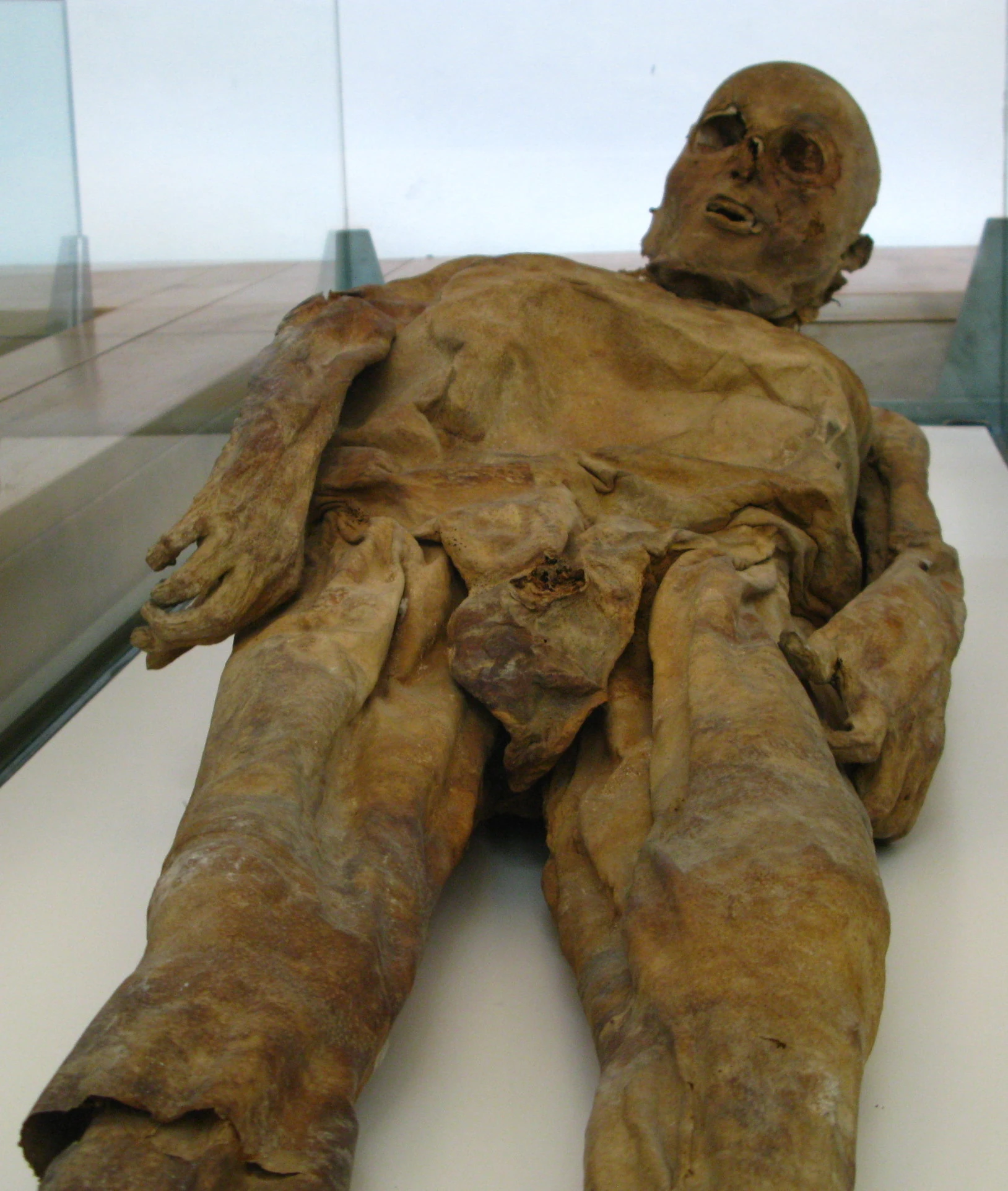 Mummies of Venzone | Mummipedia Wiki | Fandom
