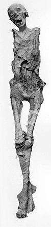 Ahmose-Meryetamen I. whole body.jpg