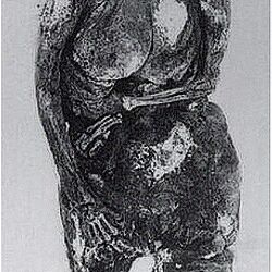 Category:Bog Mummy | Mummipedia Wiki | Fandom