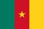 Flag of Cameroon