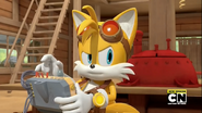 Tails alone again