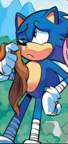 Sonic without his bandana 