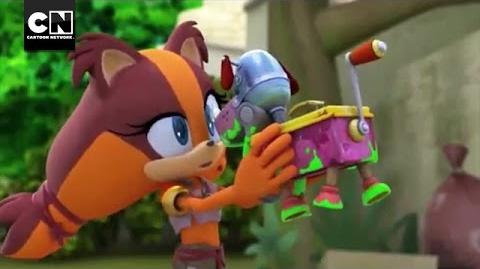 Sticks' New Pet I Sonic Boom I Cartoon Network