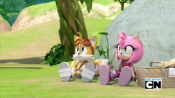 Tails and Amy on a picnic