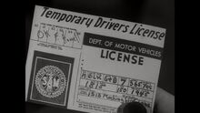 Herman's Drivers License