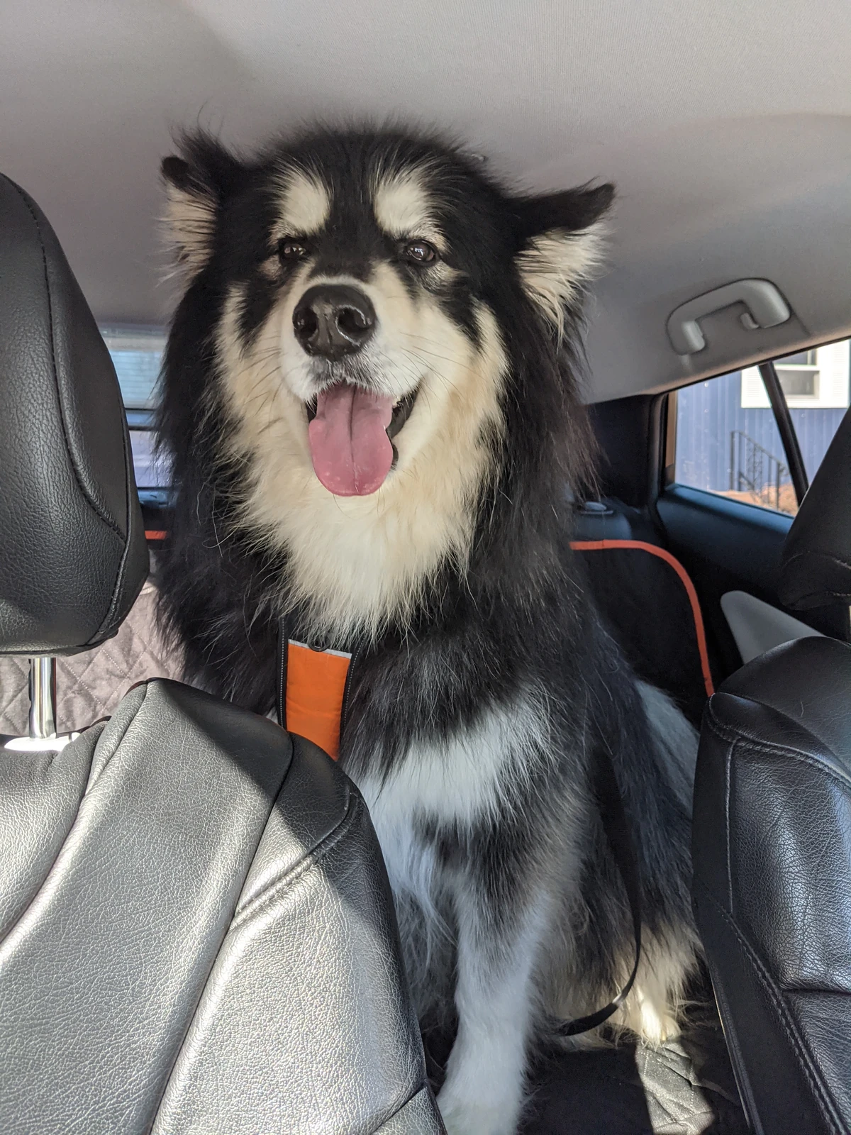 Aires MuPedia Wiki Fandom