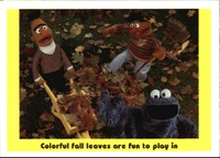47: Colorful fall leaves are fun to play in