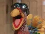 Turkey (Muppet Family Christmas)