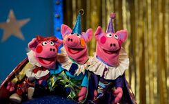 The Three Little Pigs in Alarm im Zirkus
