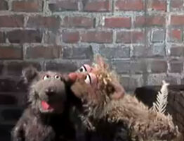 Cat & Dog Sesame Street English