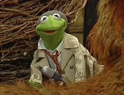 Reporter Kermit Big Bird's Story Time