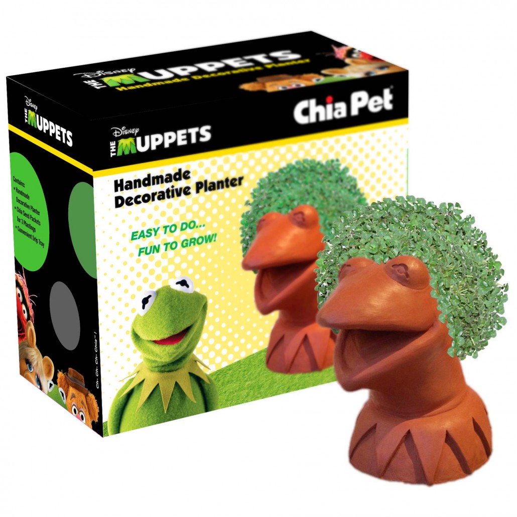 Chia Pet Green House Plant in 1-Pack Plantable Container in the House  Plants department at