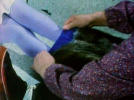 Kammikluuk.jpg (30 KB) "Ookyook Song"