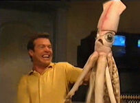 Ozzie from Mopatop's Shop and later used for The Muppets family of characters