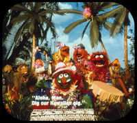 C1 Dr. Teeth and the Electric Mayhem