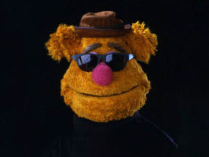 Fozzie shades.jpg