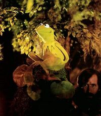 Kermit, Henson