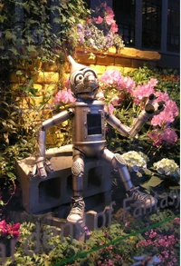 Ozflowershow07.jpg (146 KB)