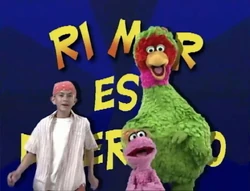 SongRimaresDivertido