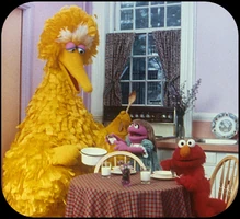 A3 Elmo's too little to cook.