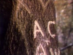 Alphabet Media (holdover from season 1)