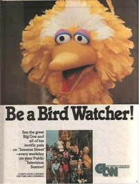 Be a Bird Watcher