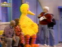 Donahue21.jpg (59 KB) Donahue interviews Big Bird