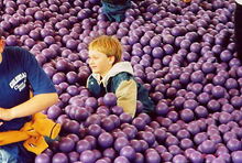 Sesameplace-countsballroom.jpg (26 KB) The Count's Ball Room1980-2006