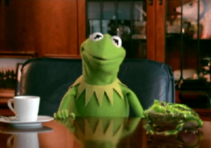 Kermit-princerainforest