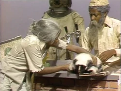 Maria desert agua 03