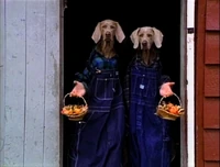 McDoubles.2s.jpg (93 KB) The McDoubles 2 (First: Episode 3217)