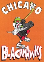 #31. Chicago Blackhawks