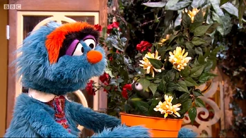 Furgus FuzzPhoebe Furchester-Fuzz