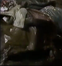 garbage bag in "Garbage"