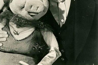 The Muppet Show: 40 Years Later - Jonathan Winters - ToughPigs