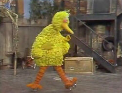 Big Bird skates 1284