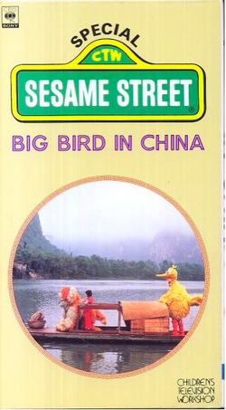 Bigbirdchinavideo.png