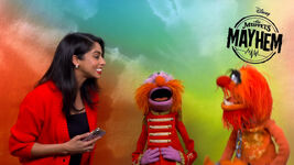 Floyd and Animal on On Demand Entertainment (YouTube) May 11, 2023