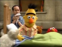 Episode 3807 Bert dragged by sheep
