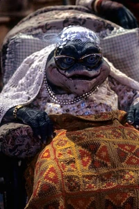 D407-Ethyl1.jpg (89 KB)