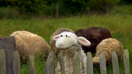 A whiter Wolle on Eine Möhre für Zwei, among other sheep