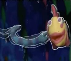 An eel and the multicolored fish"Underwater Series"