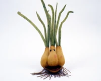 MuppetMag3-Scallions.jpg (298 KB) Scallions The Muppet Show