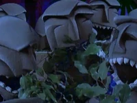 "They've got big mouths and overgrown incisors" —"Munching Forest"